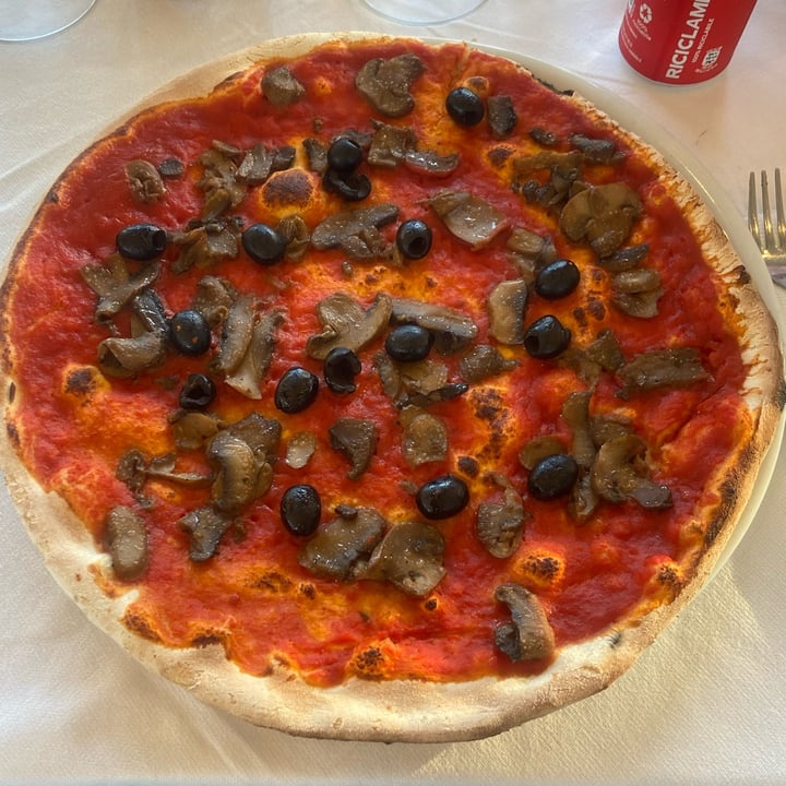 photo of Piscina Hakuna Matata Pizza rossa funghi e olive shared by @-fre- on  10 Jul 2022 - review