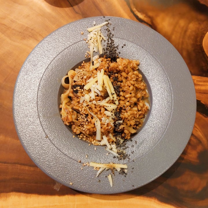 photo of Am I Addicted - Pottery Studio & V Cafe Doejang Truffle Risotto shared by @iloveveggies on  27 Feb 2022 - review