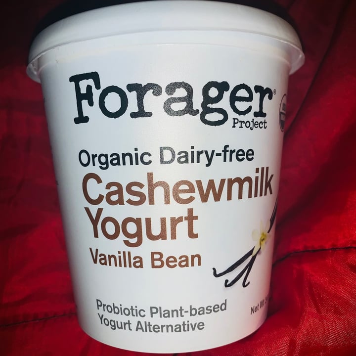 photo of Forager Project Organic Dairy-free Cashewmilk Yogurt Vanilla Bean shared by @iamgodschild on  03 Jan 2021 - review