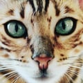 erypat @erypat profile image