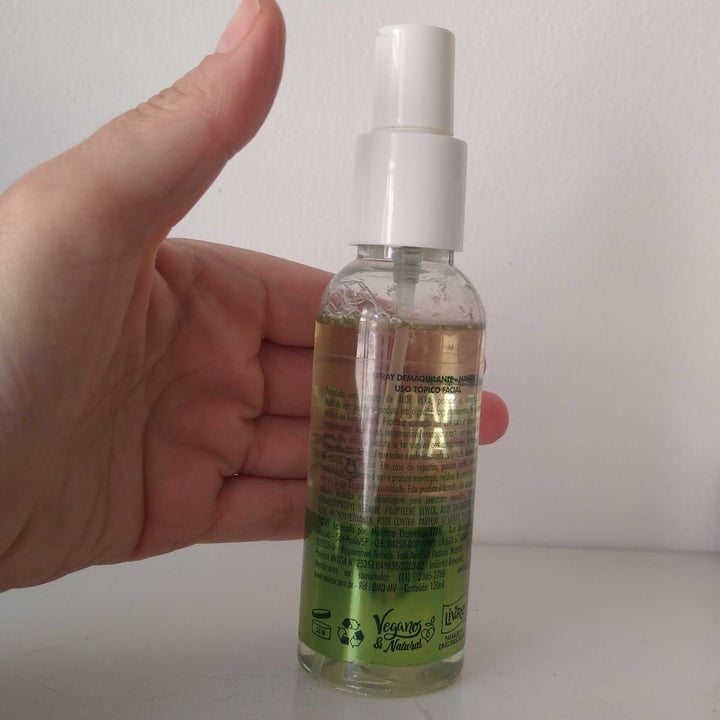 review photo of Mahav Spray Demaquilante Aloe Vera shared by @fefrischrib on 08 Oct 2022 - review