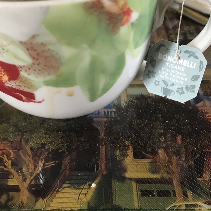 photo of Bonomelli Tisane con probiotico Bonomelli Tisane shared by @cibosanoebuono on  02 Oct 2022 - review