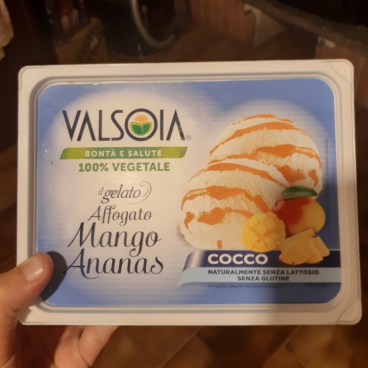 photo of Valsoia Gelato affogato mango ananas shared by @noemicrimson on  17 Sep 2022 - review