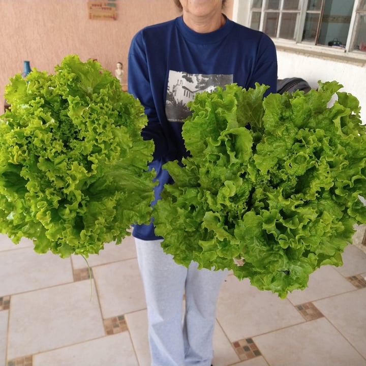 review photo of Cheiro Verde Cheiro verde shared by @mariadocarmovidalbas on 11 Jul 2022 - review