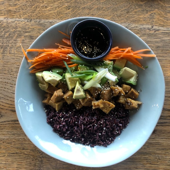 photo of Fresh Earth Food Store Asian Tofu Bowl shared by @mothercitymatt on  26 Feb 2021 - review