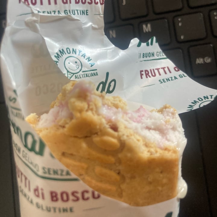 photo of Sammontana Amando biscotti gelato alla vaniglia variegato ai frutti di bosco shared by @mxr on  12 Jun 2022 - review