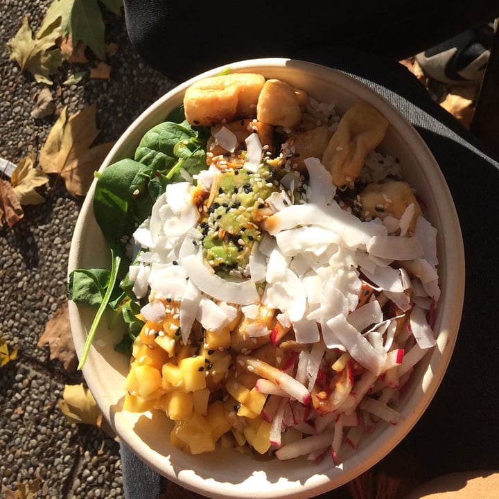 review photo of Wiki Wiki Poke Vegan bowl shared by @laragundacker on 24 Jan 2021 - review