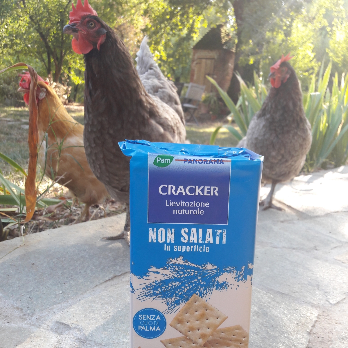 Avaliações de Cracker non salati da Pam & PANORAMA | abillion