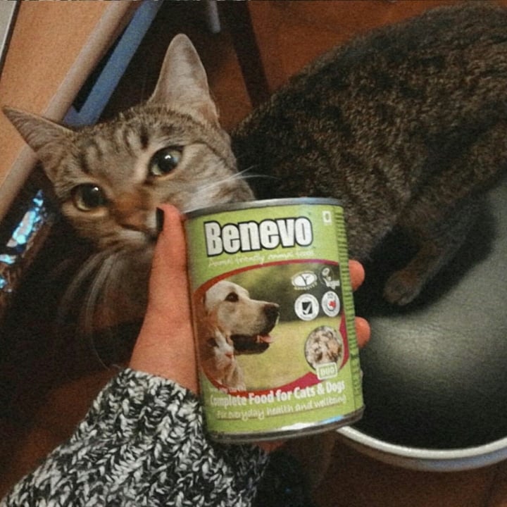 photo of Benevo Complete Food For Dogs And Cats shared by @miriamqtt on  30 Oct 2020 - review