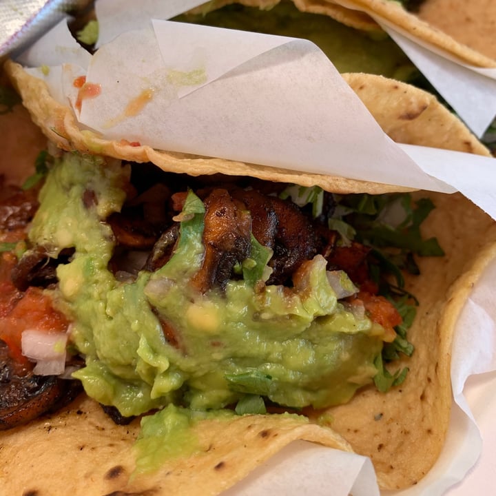 photo of Tacos 1986 Taco de Mushroom (Vegan) shared by @alexandraxnicole on  10 Jul 2020 - review