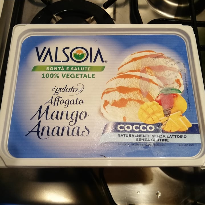 photo of Valsoia Gelato affogato mango ananas shared by @elengrana on  17 Jul 2022 - review