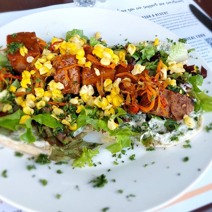 review photo of Asher's Corner Cafe @ Ashers Farm Sanctuary The Mediterranean shared by @shyvw on 04 May 2022 - review