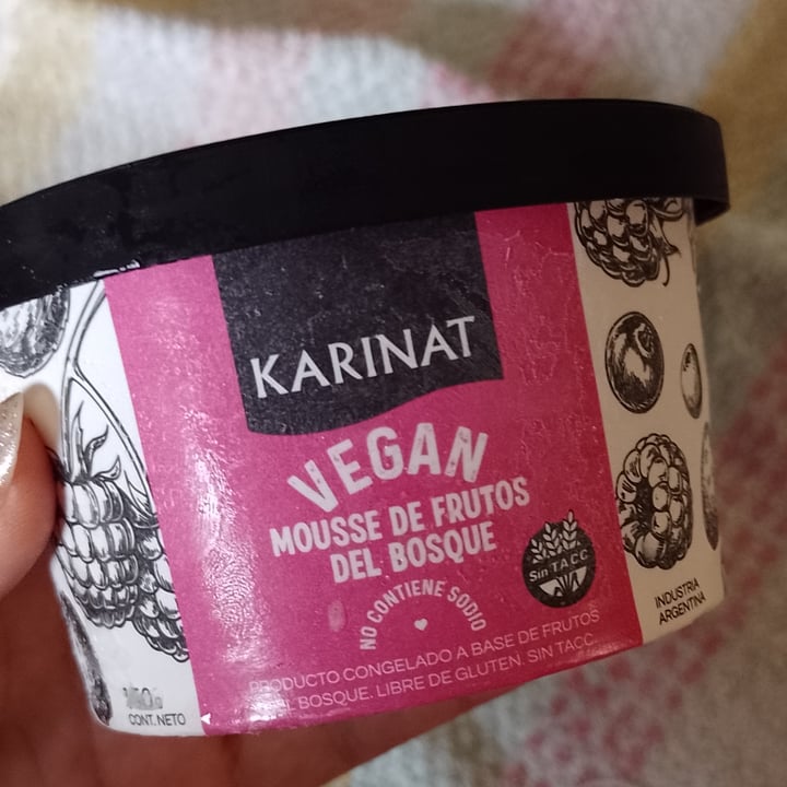 photo of Karinat Mousse Frutos del Bosque shared by @floravila on  06 Dec 2021 - review