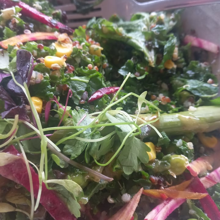 photo of Tall Timber Cafe daily greens salad (vegan option) shared by @aethos on  10 Jan 2023 - review