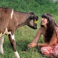 @francesveg profile image