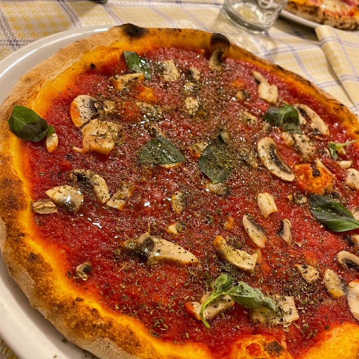 photo of Lo Soladzo Marinara con funghi shared by @quandleloup on  27 Jun 2022 - review