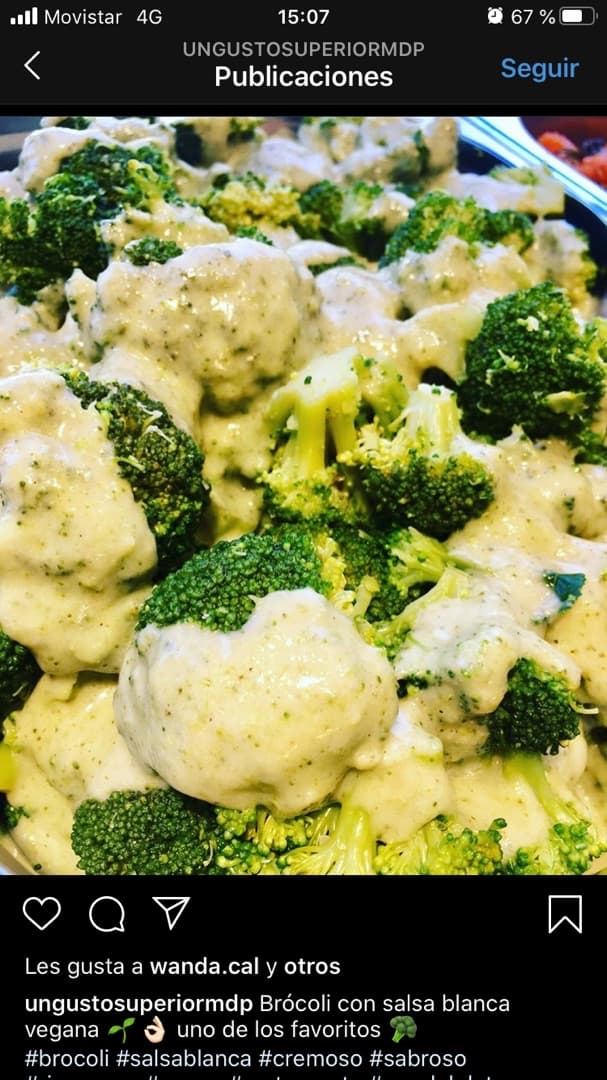Foto del plato “Brócoli Con Salsa Blanca”