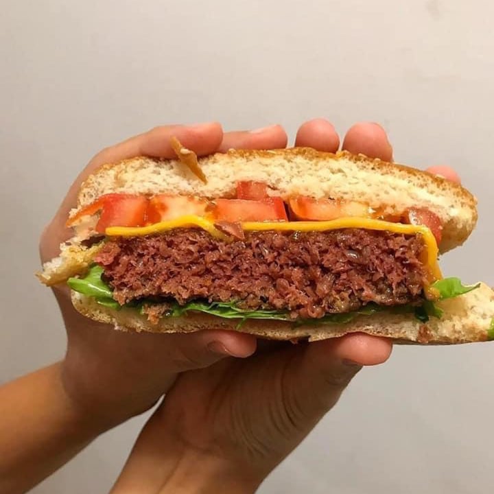 photo of Beyond Meat Beyond Meat Cookout Classic Plant-based Burger Patties shared by @gabm on  12 Mar 2022 - review