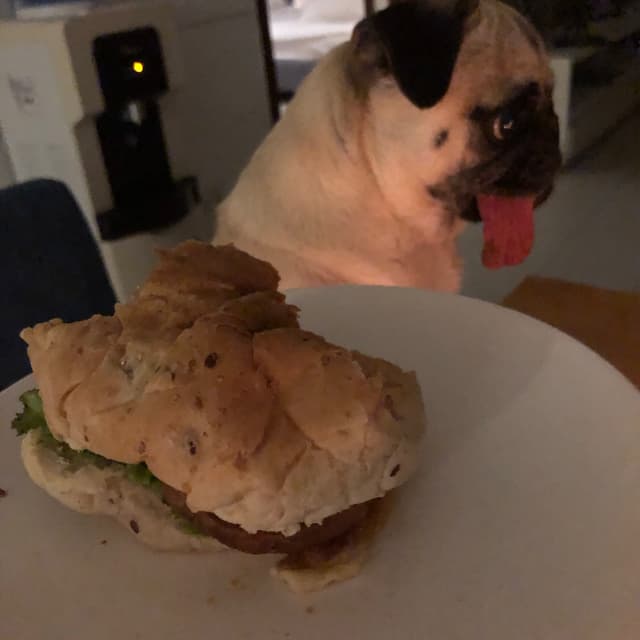 Foto del plato “The Incredible Burger”