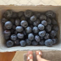 Bio Express