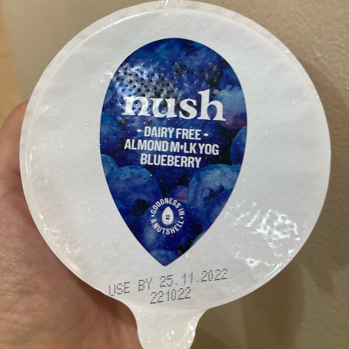 photo of Nush Almond Milk Yog Blueberry shared by @fulfilling on  15 Nov 2022 - review