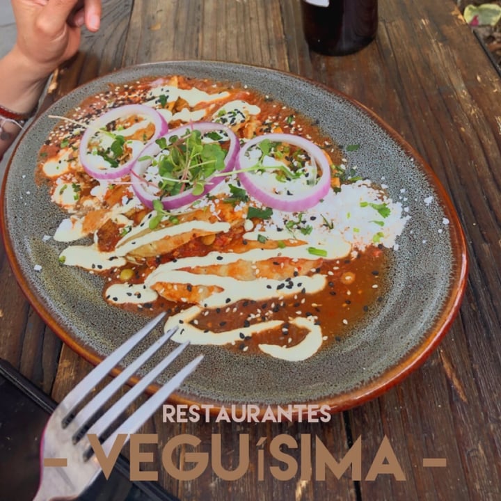 photo of Veguísima Enchiladas shared by @sunshinenz on  05 Feb 2021 - review