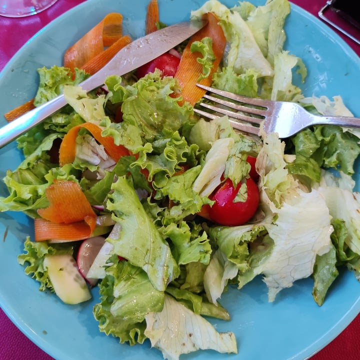 review photo of MagnEtico Bistrò mixed salad shared by @scarletdev on 30 Jul 2022 - review