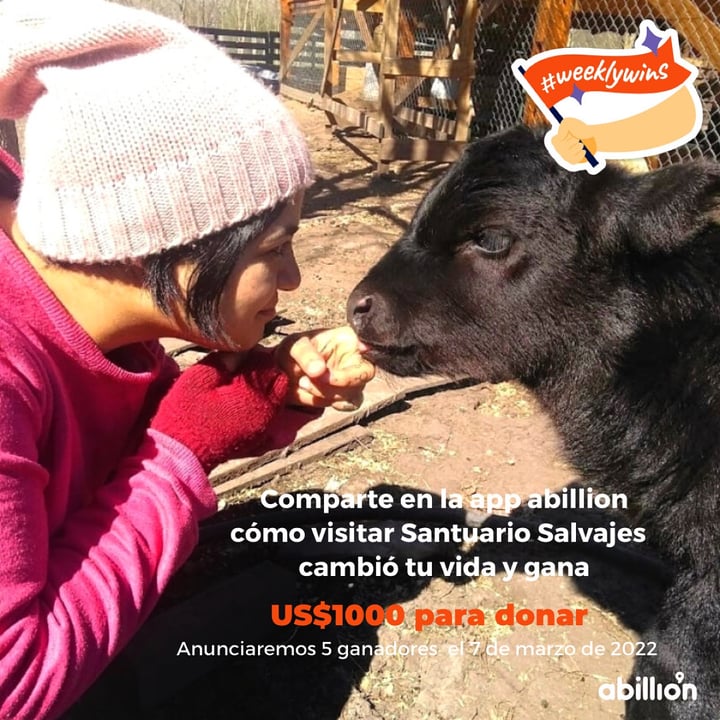 review photo shared by @santuariosalvajes on 28 Feb 2022 - post