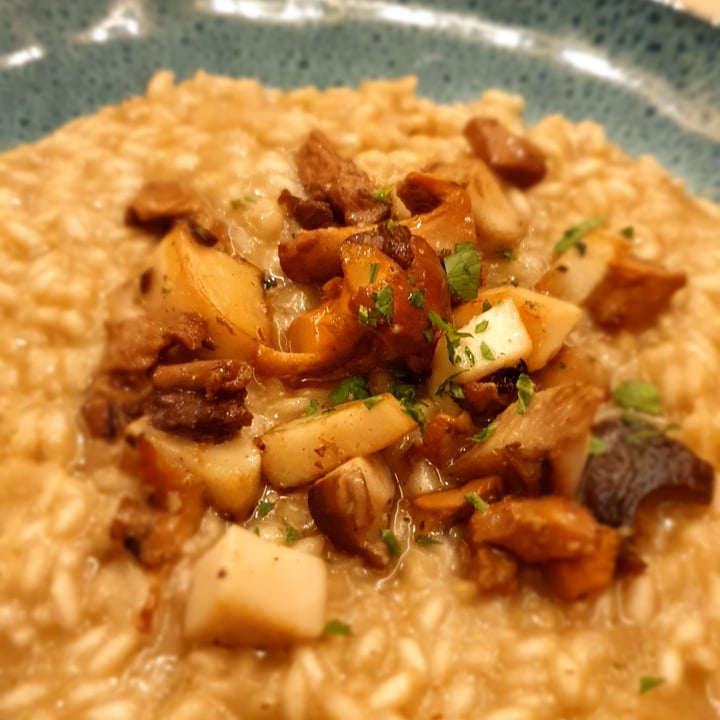 photo of Restaurant Fink risotto con funghi nostrali arrostiti shared by @ziasilvish on  19 Sep 2022 - review