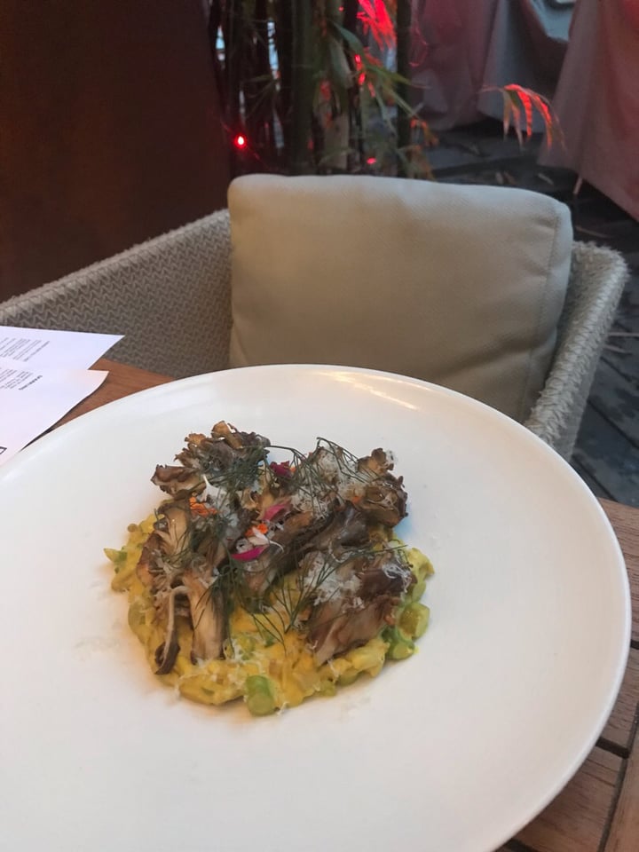 review photo of Plant Miami Sunflower seed risotto shared by @snehaverma on 27 Aug 2019 - review