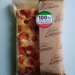 Forno Ludovico