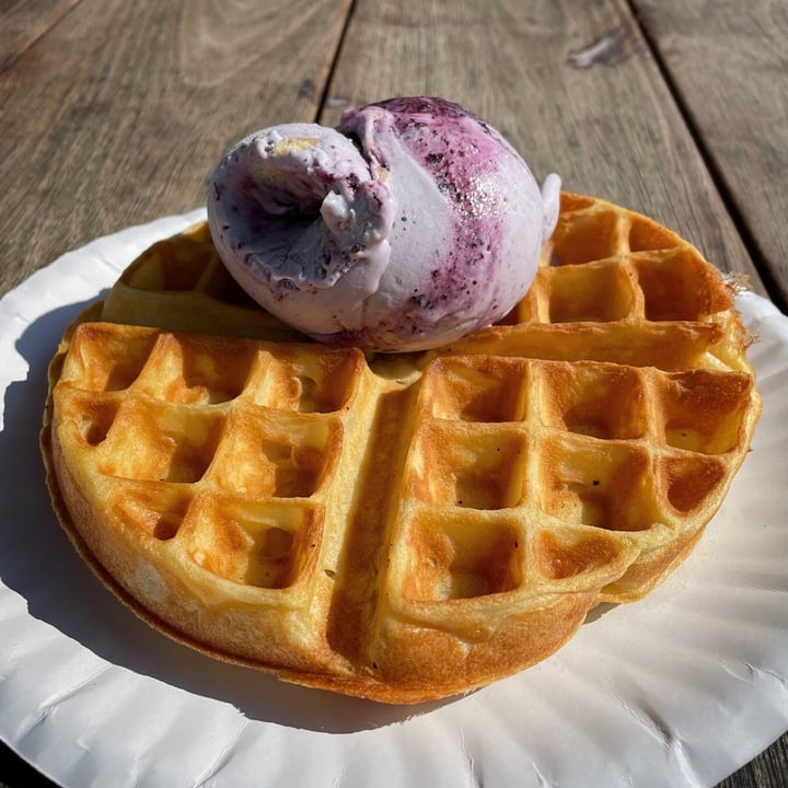 photo of Kristen's Kick-Ass Ice Cream - Heritage Market Vegan Waffles shared by @capetownvegan on  11 Sep 2021 - review