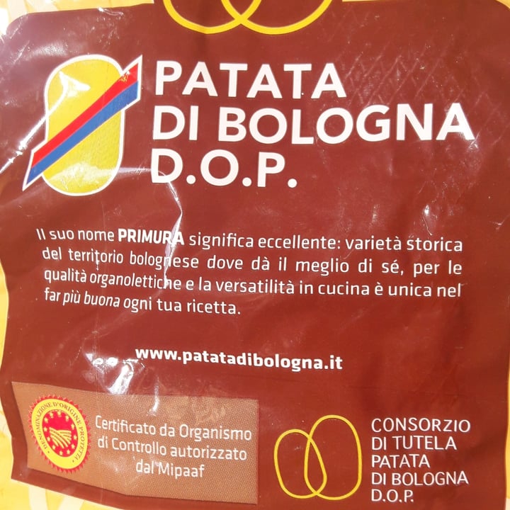 photo of Patata di Bologna dop patate di Bologna dop shared by @giuliacarosio on  17 Oct 2021 - review
