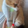Bjobj