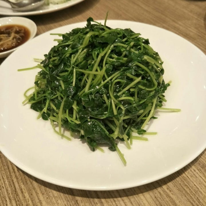 review photo of Din Tai Fung Stir-Fried Dou Miao with Garlic shared by @lou on 31 Aug 2018 - review