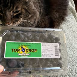 Top crop