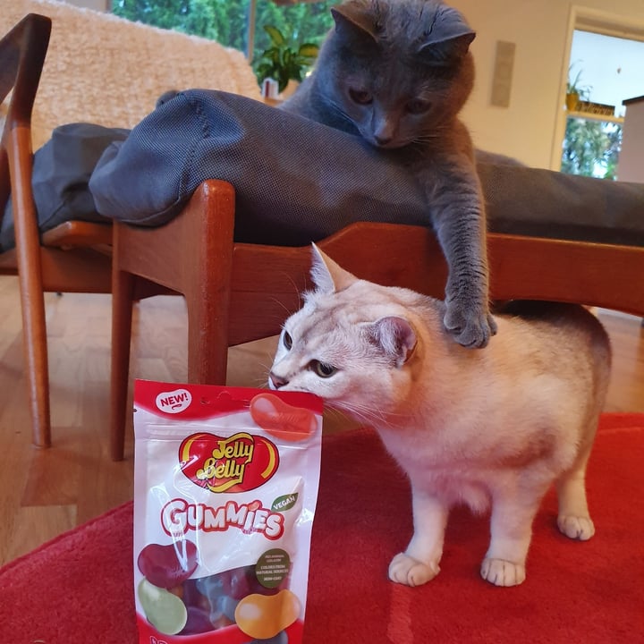 photo of Jelly belly Vegan Gummies shared by @paniwilson on  17 Jul 2021 - review