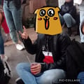 antoanto @antoanto profile image