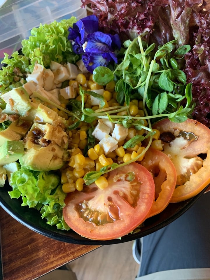 photo of nomVnom Tai Seng Organic Rainbow Salad shared by @georgejacobs on  29 Feb 2020 - review