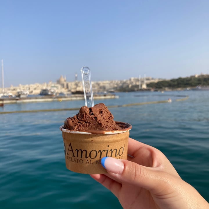 photo of Amorino organic chocolate gelato shared by @kumi on  27 Apr 2021 - review