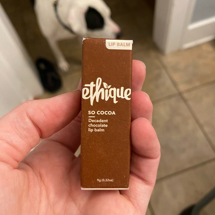 photo of Ethique So Cocoa Lip Balm shared by @brittanymiller on  09 Oct 2022 - review