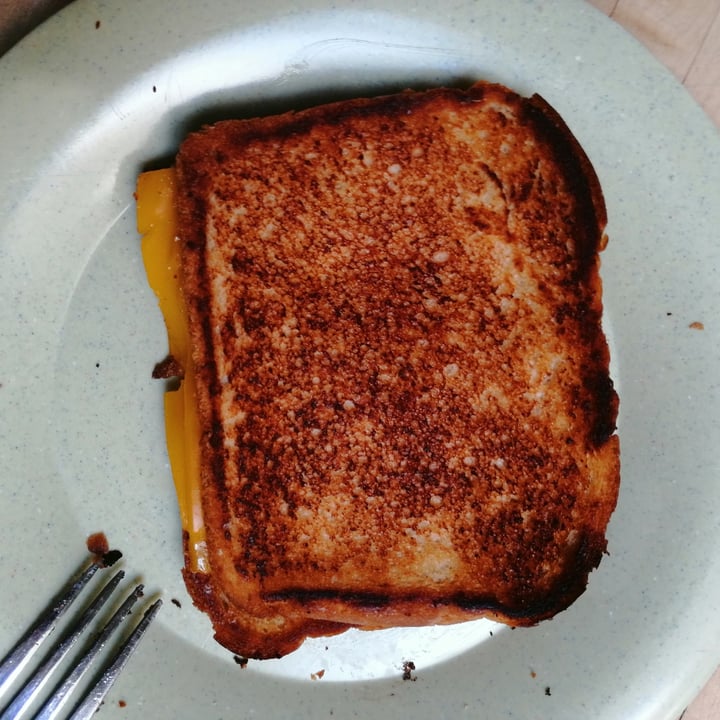 review photo of Violife Cheddar Slices shared by @haleylenora on 09 Aug 2021 - review