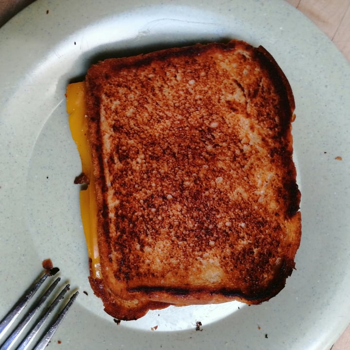 photo of Violife Cheddar Slices shared by @haleylenora on  09 Aug 2021 - review