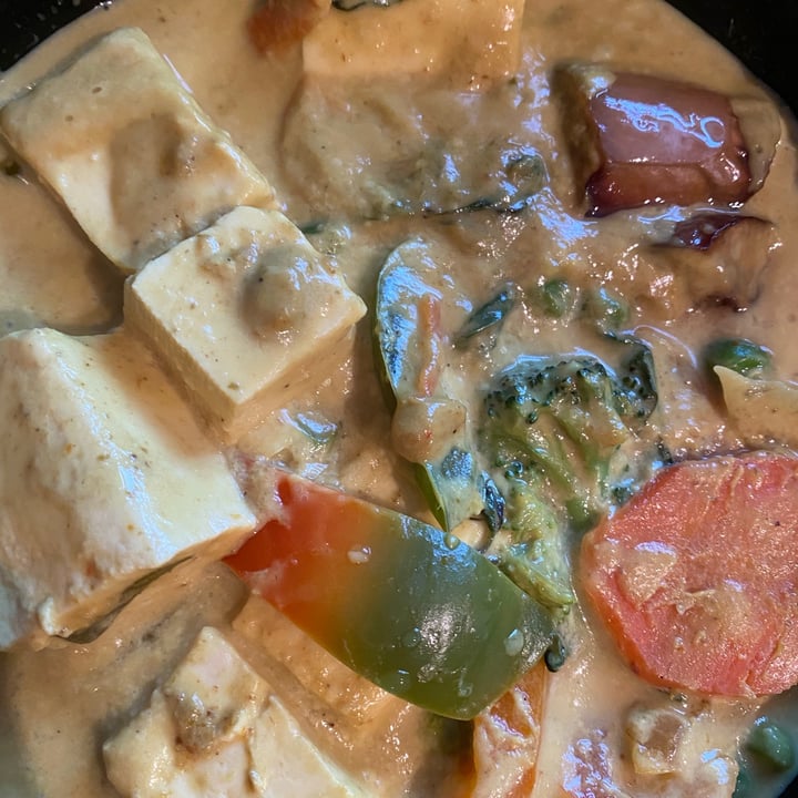 photo of Thai Cuisine Experts Green curry with tofu shared by @nateye on  01 Jan 2021 - review