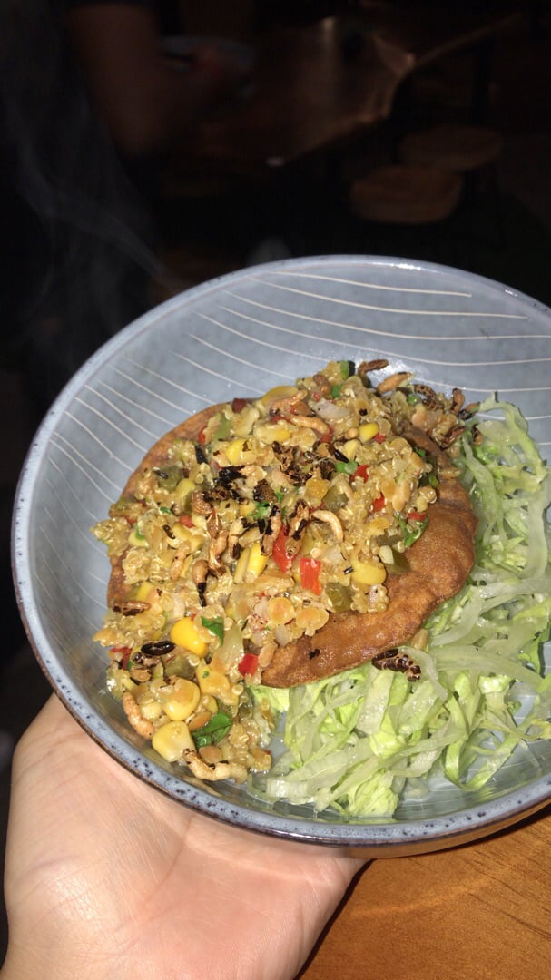 photo of HRVST Cafe & Bar Pumpkin taco shell with chickpea, lentil, quinoa, puffed wild rice, gremolata, iceberg lettuce shared by @lilearthgirl on  17 Mar 2019 - review