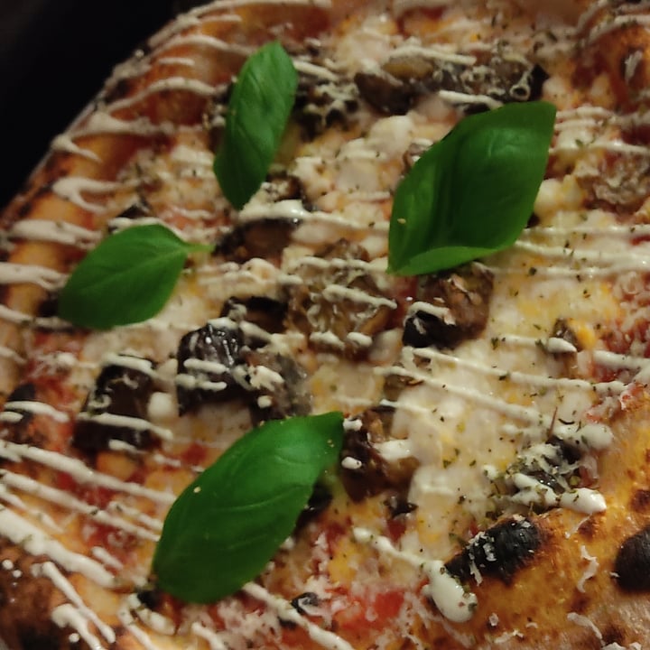 photo of Plant A Pizza Pizza Parmigiana shared by @geo-idee on  14 Oct 2022 - review