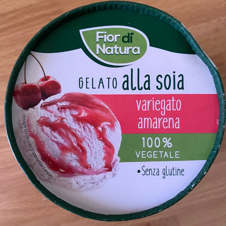 photo of Fior di Natura Gelato Alla Soia Variegato Amarena shared by @missmoonblack on  11 Jul 2021 - review