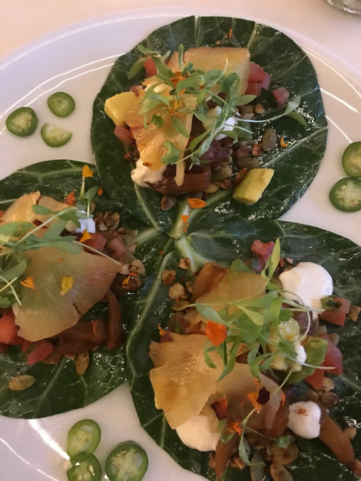 review photo of Plant Miami Jackfruit Tacos shared by @jtstep on 11 Aug 2018 - review