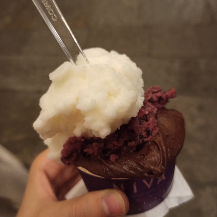 review photo of Nivá Gelato Coppetta Normale shared by @fraveg15 on 05 Jul 2022 - review