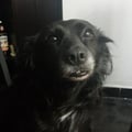 paulitpt @paulitpt profile image